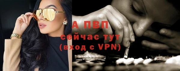 ГАЛЛЮЦИНОГЕННЫЕ ГРИБЫ Нязепетровск