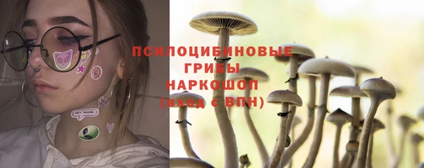 ГАЛЛЮЦИНОГЕННЫЕ ГРИБЫ Няндома