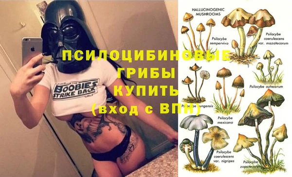 ГАЛЛЮЦИНОГЕННЫЕ ГРИБЫ Няндома