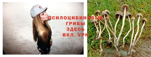 прущий лед Нягань