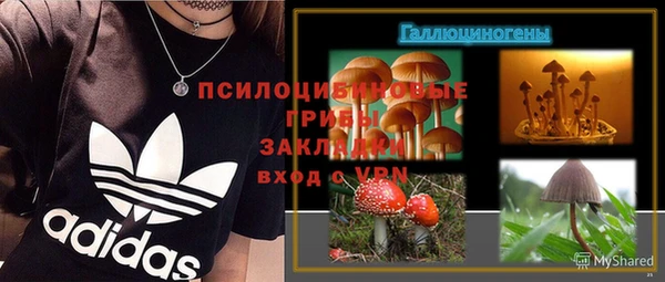 ГАЛЛЮЦИНОГЕННЫЕ ГРИБЫ Нязепетровск