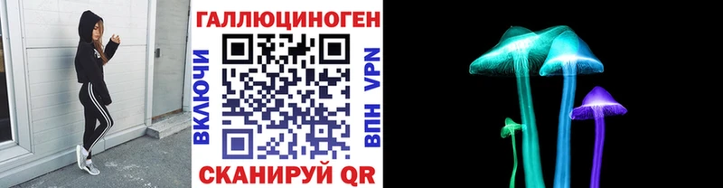 Псилоцибиновые грибы Psilocybine cubensis  Чусовой 