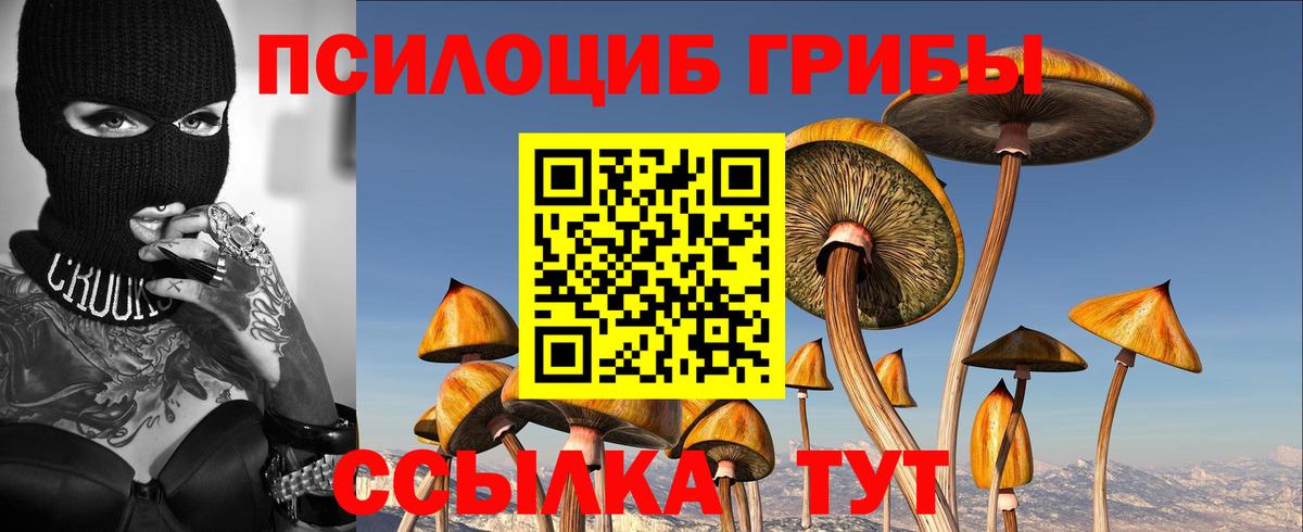 Галлюциногенные грибы прущие грибы  Галлюциногенные грибы MAGIC MUSHROOMS  Чусовой 