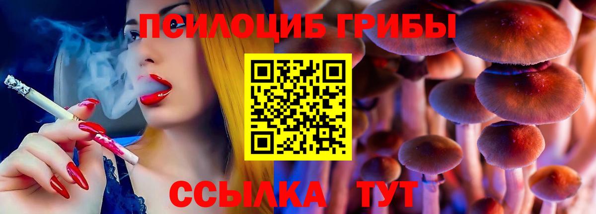 Псилоцибиновые грибы Psilocybe  Галлюциногенные грибы Cubensis  Вход с VPN  Чусовой 