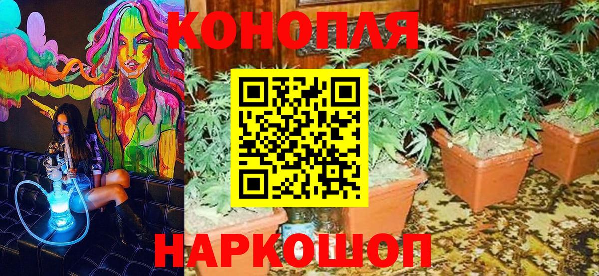 Каннабис LSD WEED  Бошки Шишки THC 21%  Вход с VPN  Каннабис ГИДРОПОН  Чусовой  Бошки Шишки Bruce Banner 